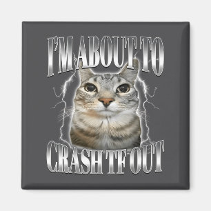 Jag håller på att krascha Roligt stirrande katt hj Magnet