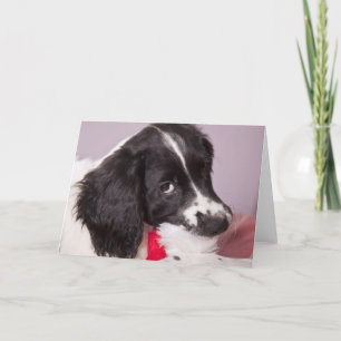 Jag har ätit Jultomten Helgkort