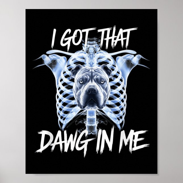 Jag Har att jag fick Xray Pitbull Ironic Meme Vir Poster (Framsidan)