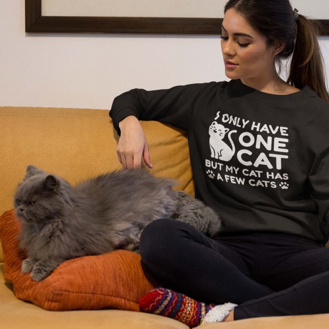 Jag har bara en katt t shirt (cat sweatshirt for women)
