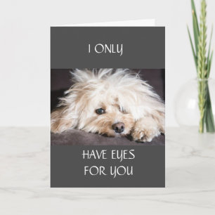 JAG HAR BARA ETT "ÖGA FÖR DIG"-KORT KORT