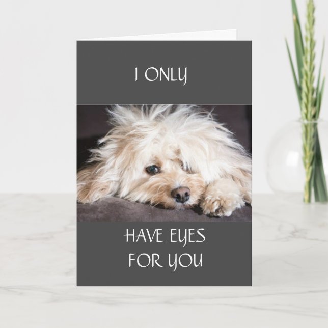 JAG HAR BARA ETT "ÖGON FÖR DIG"-KORT KORT (Framsida)