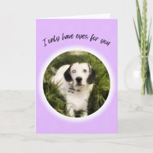 Jag har bara öga för din söta hund Valentine Kort