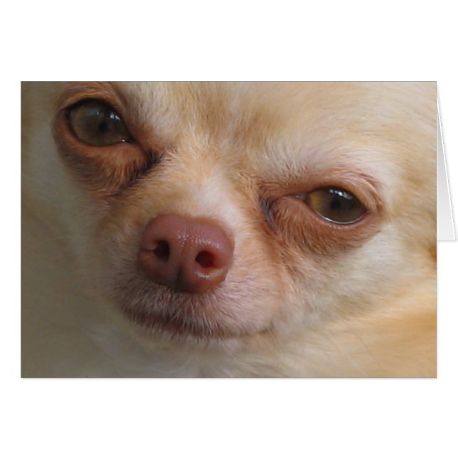 Jag har bara Öga till dig Hälsningskort (Framsidan Horizontal)