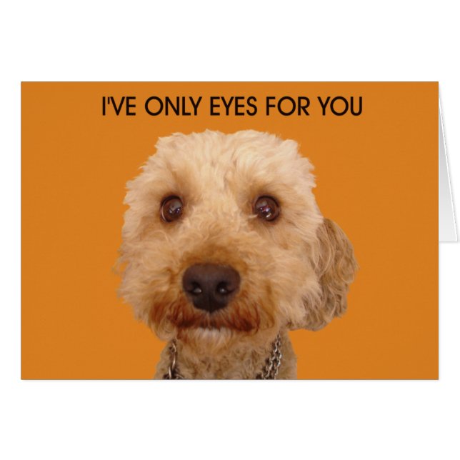 Jag har bara ögon till dig hälsningskort (Framsidan Horizontal)