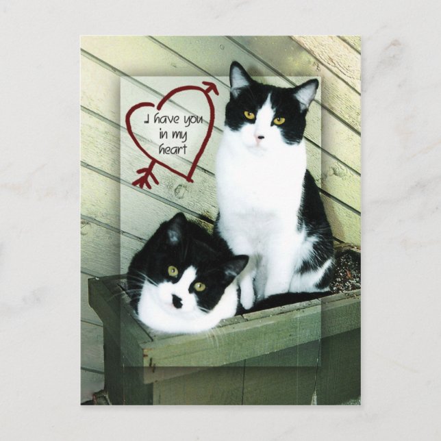 Jag har dig i mitt hjärta vykort (Framsida)