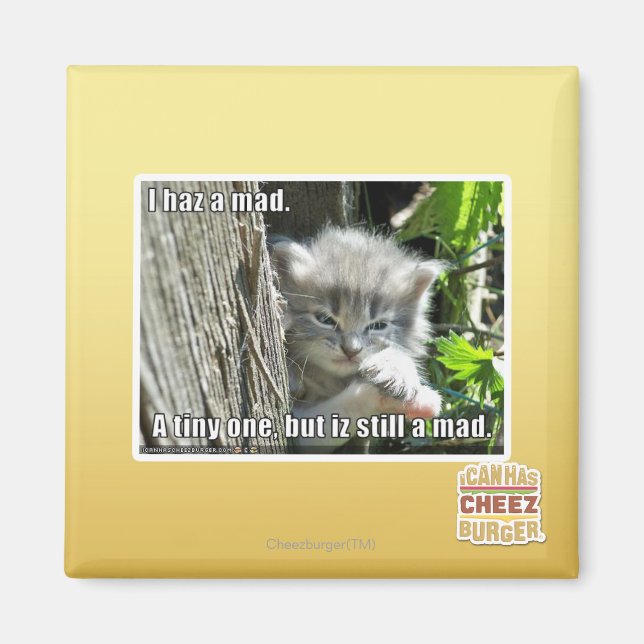 Jag har en galen magnet (Framsidan)