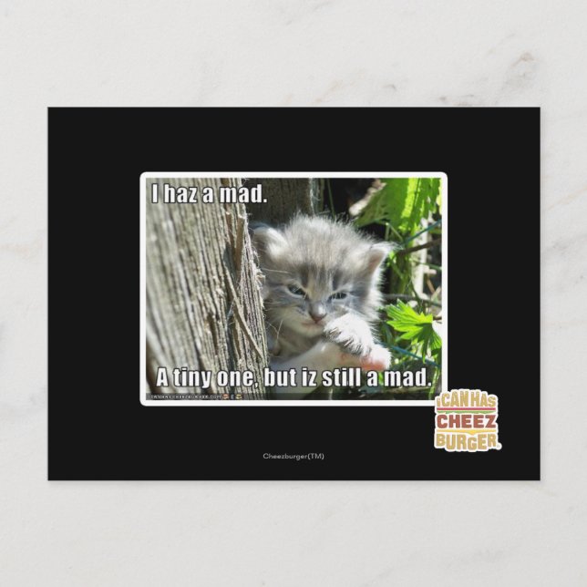 Jag har en galen vykort (Framsida)