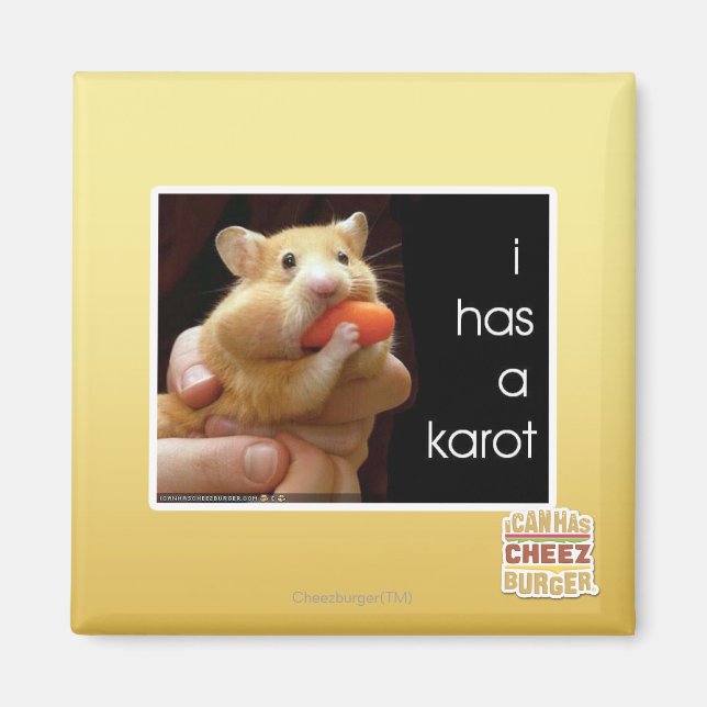 Jag har en karot magnet (Framsidan)