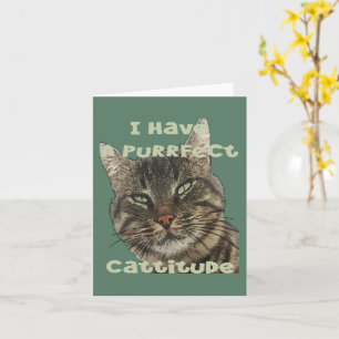 Jag Har En Purrfekt Kattattityd Roligt Pun Citat Kort