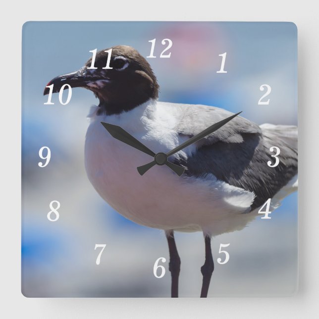 Jag har en väggklocka i Fiskmås (Framsida)