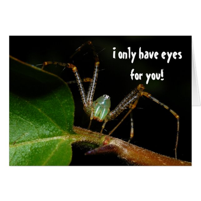 Jag har endast ögon för dig hälsningskort (Framsidan Horizontal)