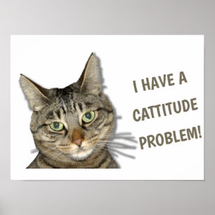 Jag har ett kattitudproblem! Söt anpassningsbar! Poster