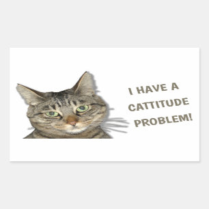 Jag har ett kattitudproblem! Söt anpassningsbar! Rektangulärt Klistermärke