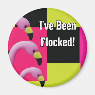 jag har flockas magnet