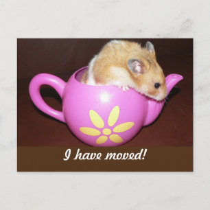 Jag Har Flyttat Hamster Meddelande Vykort