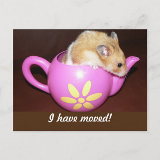 Jag Har Flyttat Hamster Meddelande Vykort