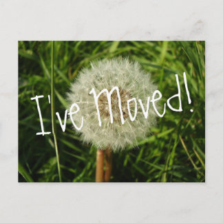 Jag har flyttat vykort med Dandelion fotografi
