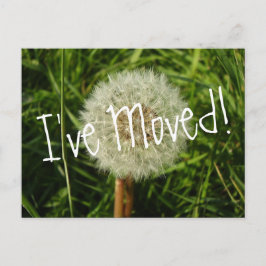 Jag har flyttat vykort med Dandelion fotografi