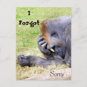 Jag har glömt, jag är ledsen, jag glömde, Förlåt Vykort