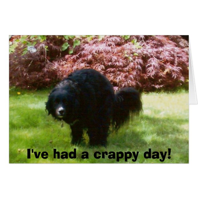 Jag har haft en jävla dag! hälsningskort (Framsidan Horizontal)