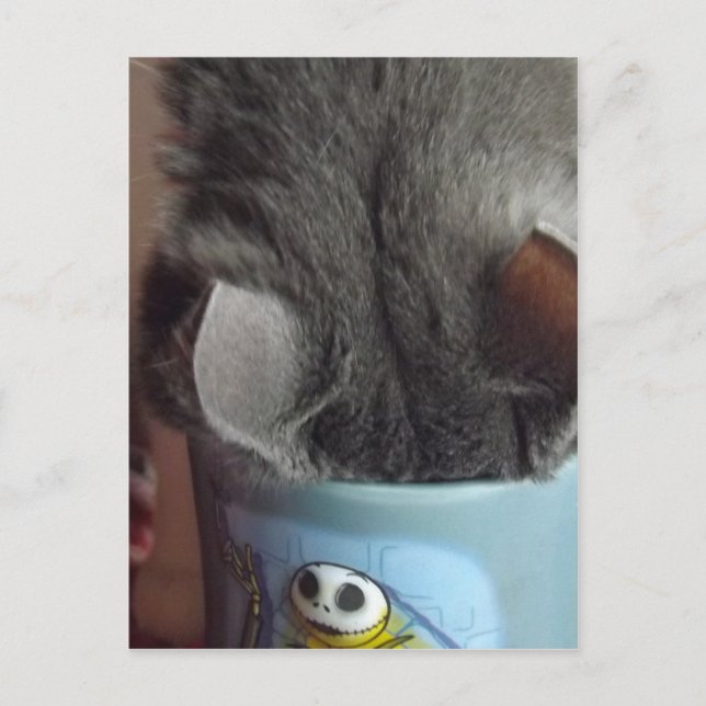 JAG HAR HAFT MIN KOFFEE! VYKORT (Framsida)