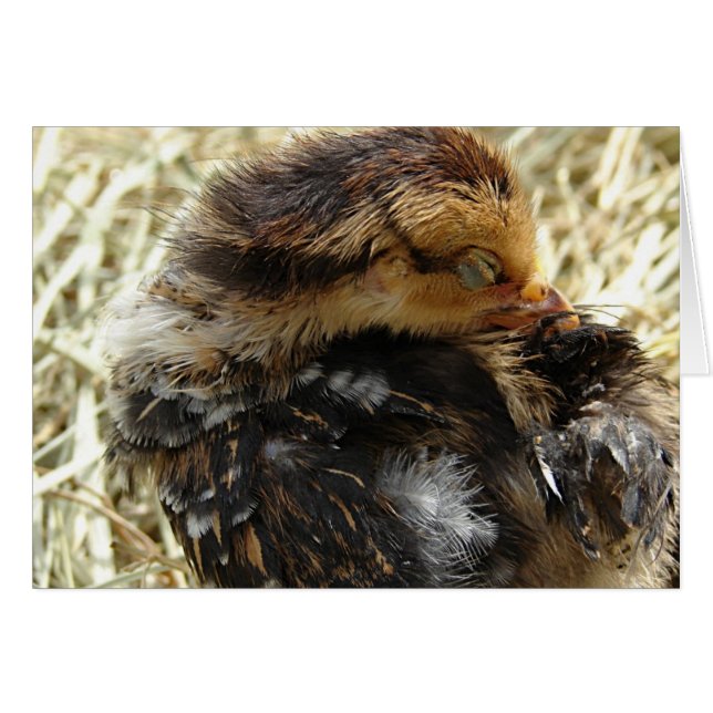 Jag har Har An Itch Hälsningskort (Framsidan Horizontal)