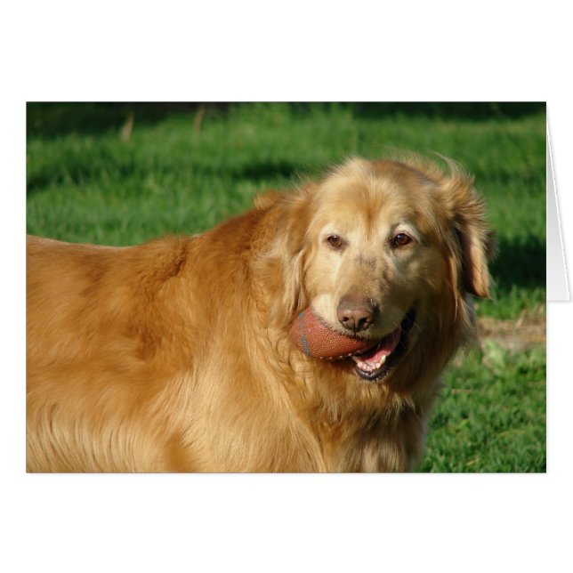 Jag har Har min fotboll Hälsningskort (Framsidan Horizontal)