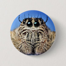 Jag har har min öga på dig!