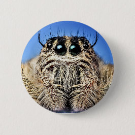 Jag har har min öga på dig! knapp