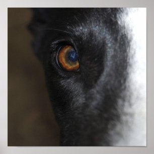 Jag har har min öga på dig -Poster Poster