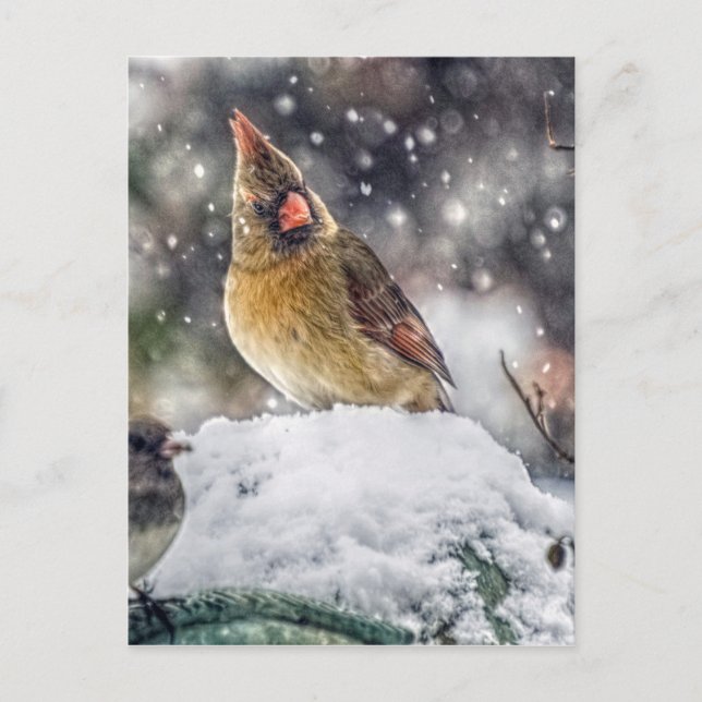 Jag har Har min Öga på dig Vykort (Framsida)