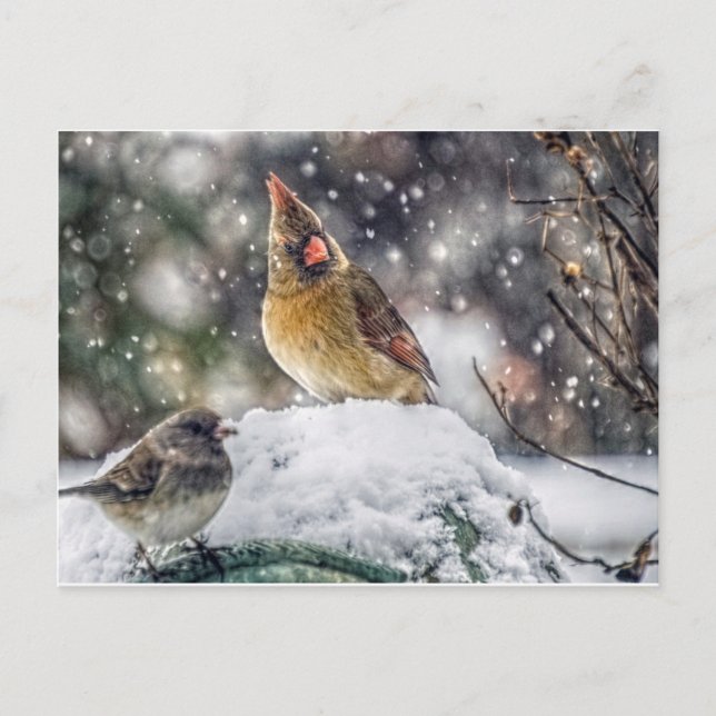 Jag har Har min Öga på dig Vykort (Framsida)