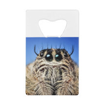 Jag har har min ögon på dig!