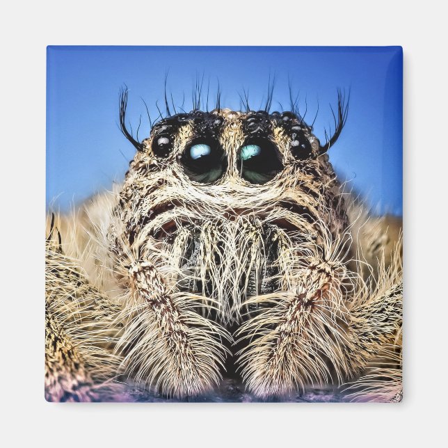 Jag har har min ögon på dig! magnet (Framsidan)