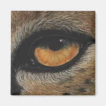 Jag har har öga på dig. Cheetah