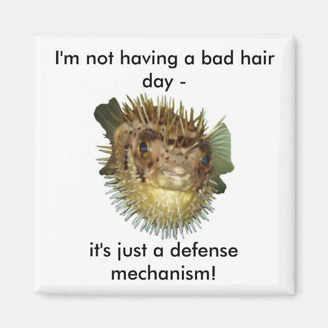 Jag har ingen dålig hårdag. magnet (Framsidan)