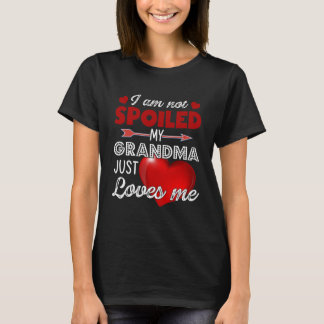 Jag har inte förstört min mormor bara Kärlek mig T Shirt