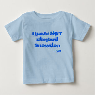 Jag har inte klättrat Snowdon T Shirt