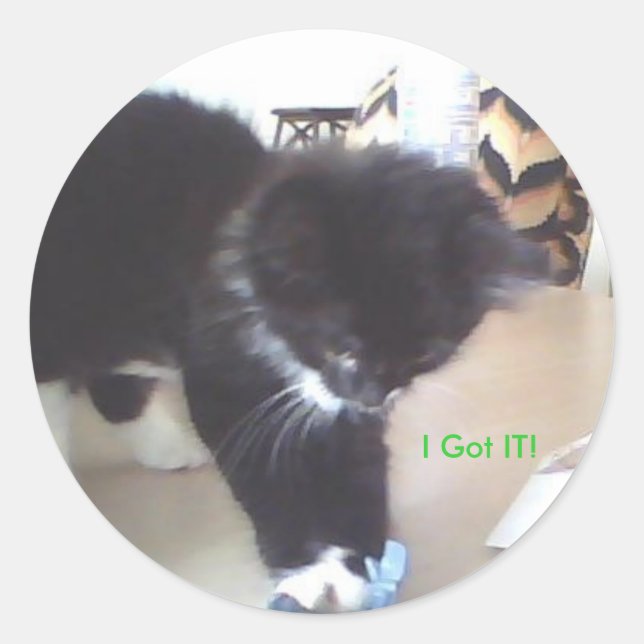 Jag Har IT! Runt Klistermärke (Framsida)