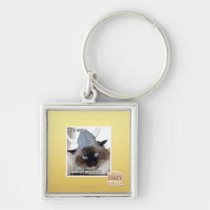 Jag har komen som skövlar urbyn fyrkantig silverfärgad nyckelring