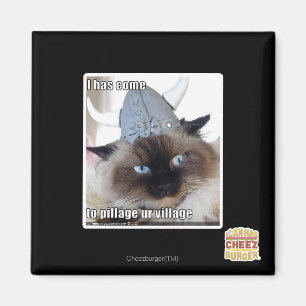 Jag har komen som skövlar urbyn magnet