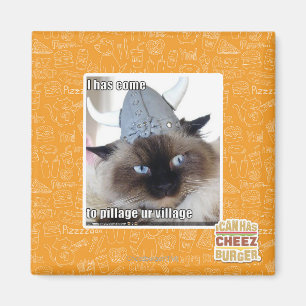 Jag har komen som skövlar urbyn magnet