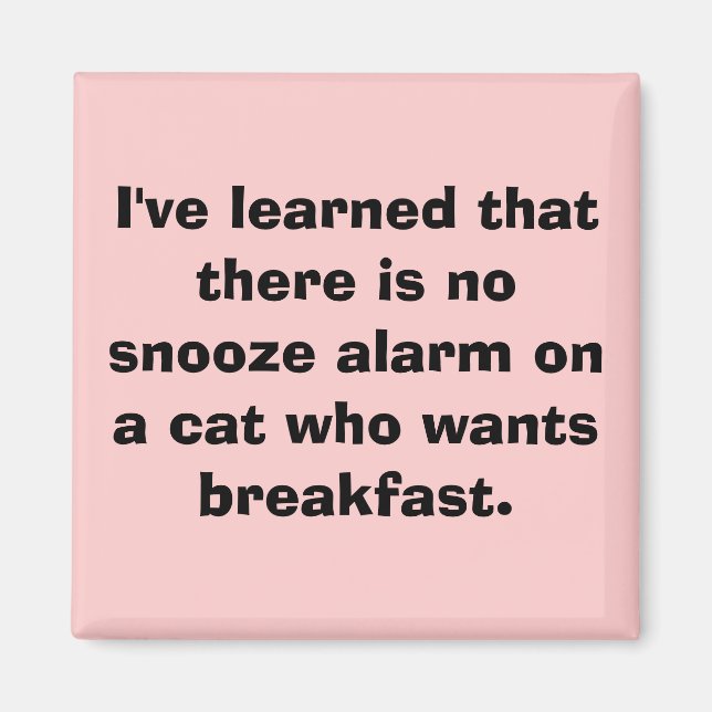 Jag har lärt mig att det inte finns någon snöslarm magnet (Framsidan)