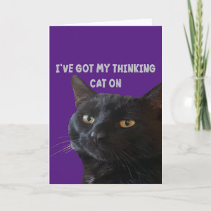 Jag Har Min Tänkande Katt På Roligt Skämt Citat Kort