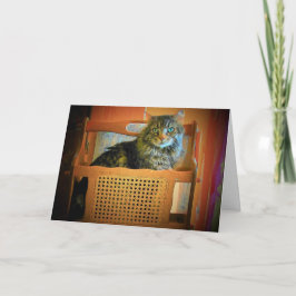 Jag har så många problem att jag behöver ett magas kort