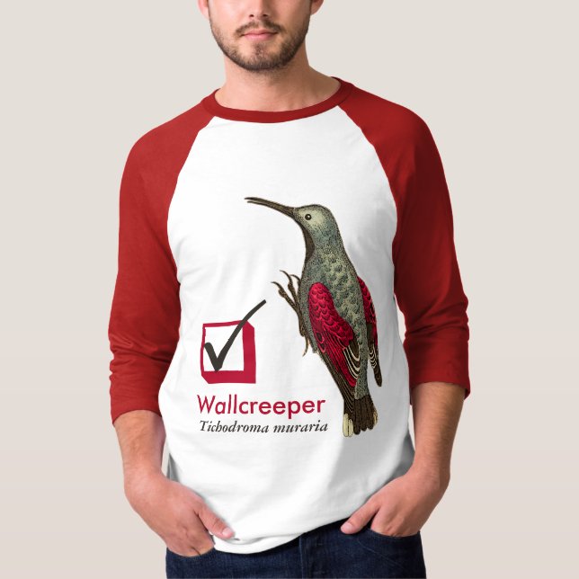 Jag har sett den Wallcreeper kontrollen boxas för Tee (Framsida)