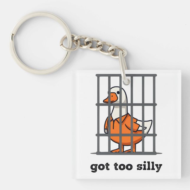 JAG HAR TILL FÅNIGET - FÅNIG GOOSE - FUNNY GOOSE (Framsidan)