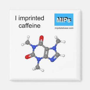 Jag har tryckt koffeinmagnet boll och stången magnet