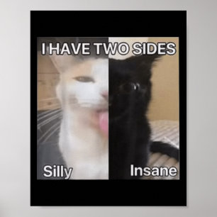 Jag har två sidor Fånig, inintelligent Cat Funny F Poster